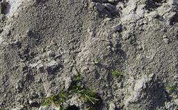 Bodenbeschaffenheit mit »bio-algeen«