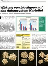 Universität Hohenheim 1996 Dr. Lung                Institut für Phytomedizin Anbausystem Kartoffeln